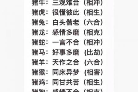 46年属什么相配 46年属相的最佳配对是什么