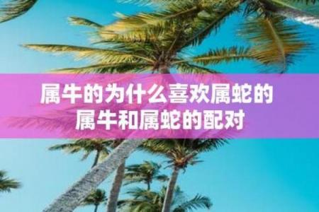 属牛和属牛相配吗婚姻 属牛的婚姻是否与属牛相合