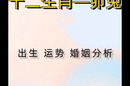 属牛和属兔相配度高吗,属牛与属兔的配对程度高吗